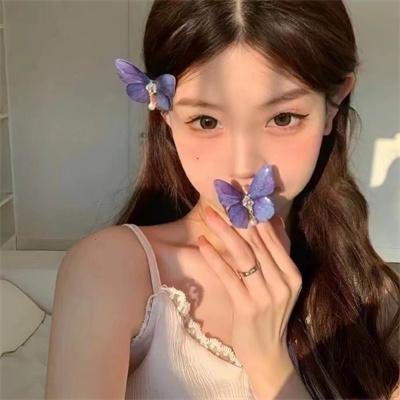 圣米歇尔山:抵抗岁月的侵蚀